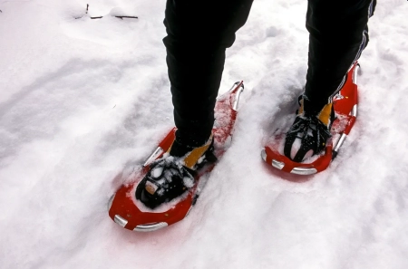 Cross Country Ski and Snowshoe Rentals
