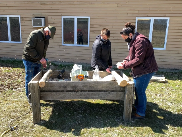 Make your own mushroom log