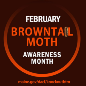 February is Browntail Awareness Month