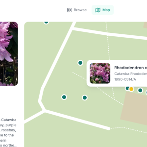 Viles Arboretum Introduces Hortis: New Plant Accessioning Software and Mapping Tool