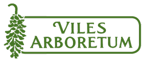 viles logo green 290px