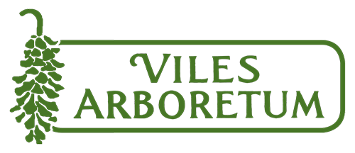 viles logo green 500px